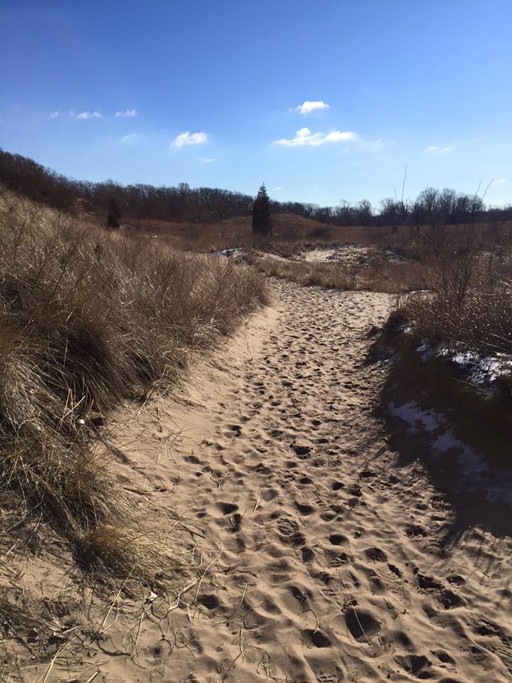 Dune Succession Trail