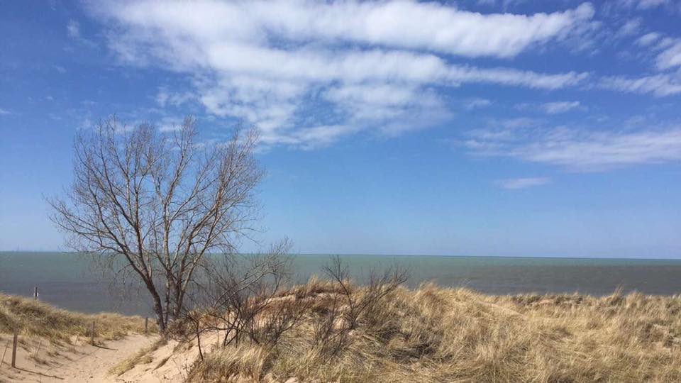 Dune Succession Trail