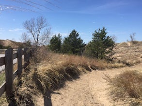 Hike the Dune Succession Trail, Indiana Dunes National Lakeshore