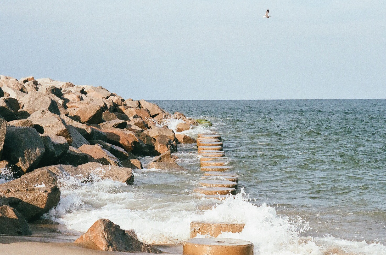 Fort Fisher's Basin Trail