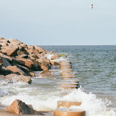 Hike Fort Fisher's Basin Trail