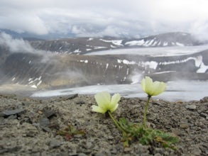 Hike to Nordenskiöldtoppen