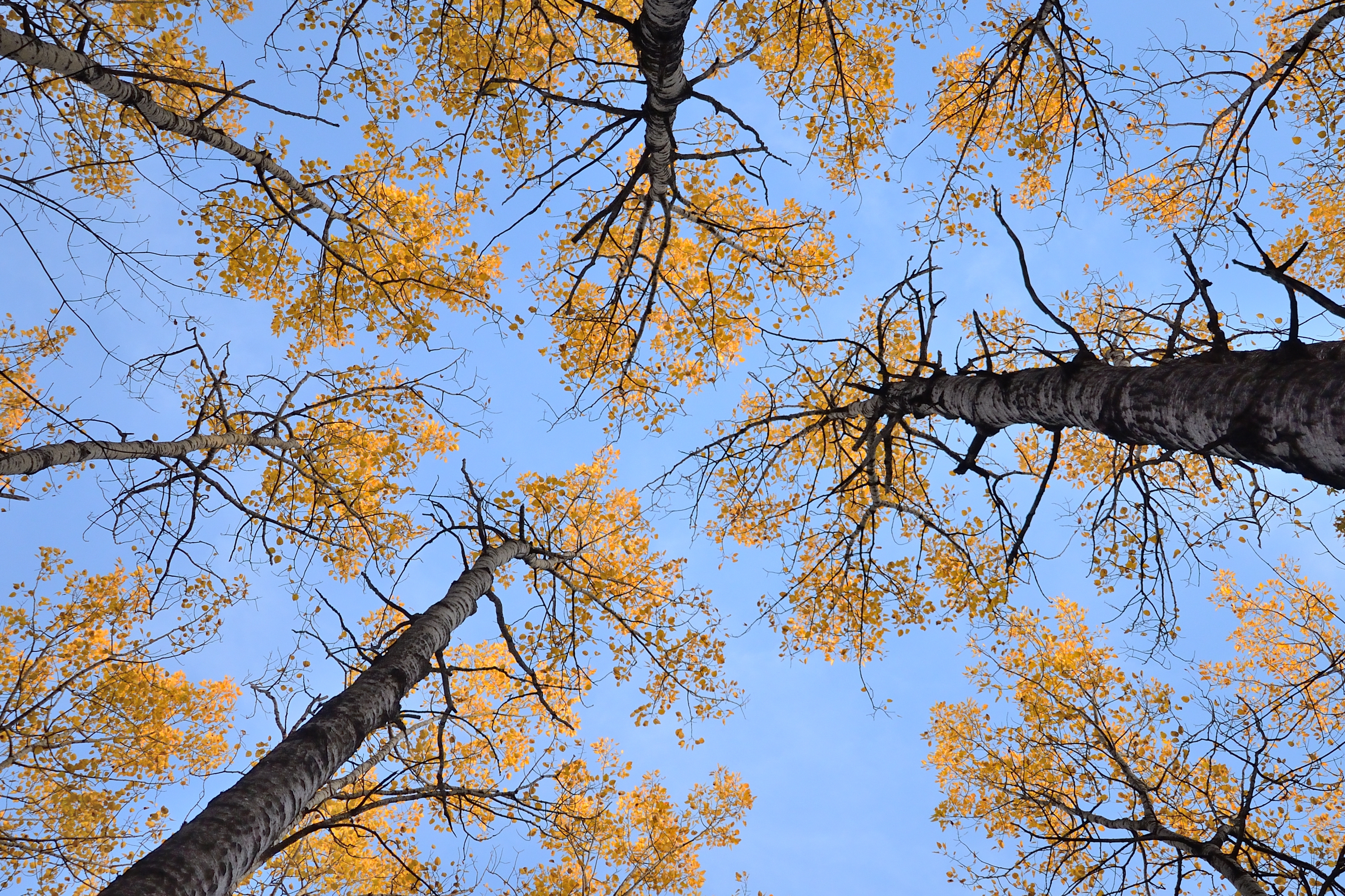 Hike the Quarry Loop Trail