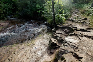 Hike the Kadunce River Wayside Trail 