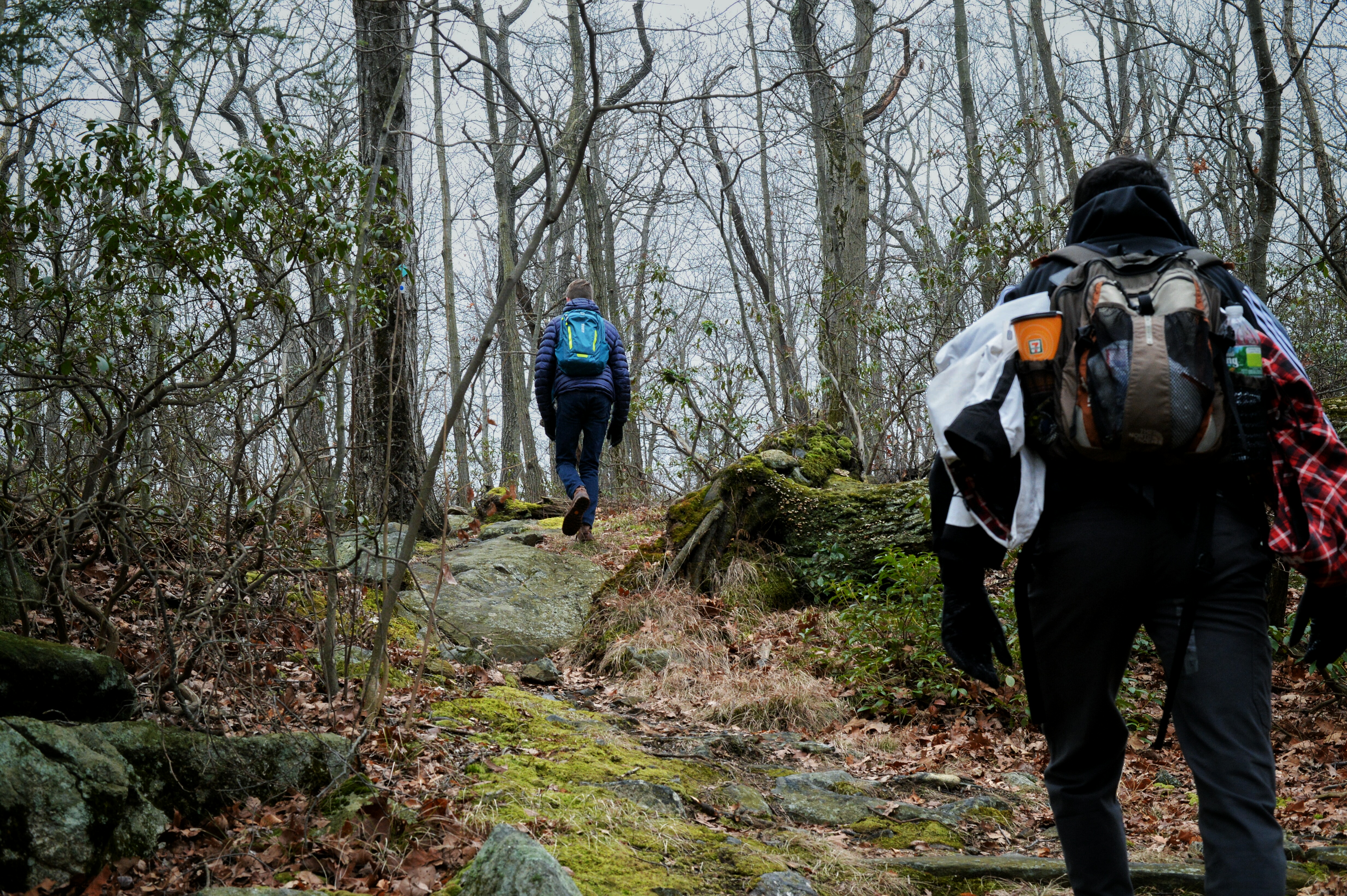 Hike to the Sterling Ridge Fire Tower