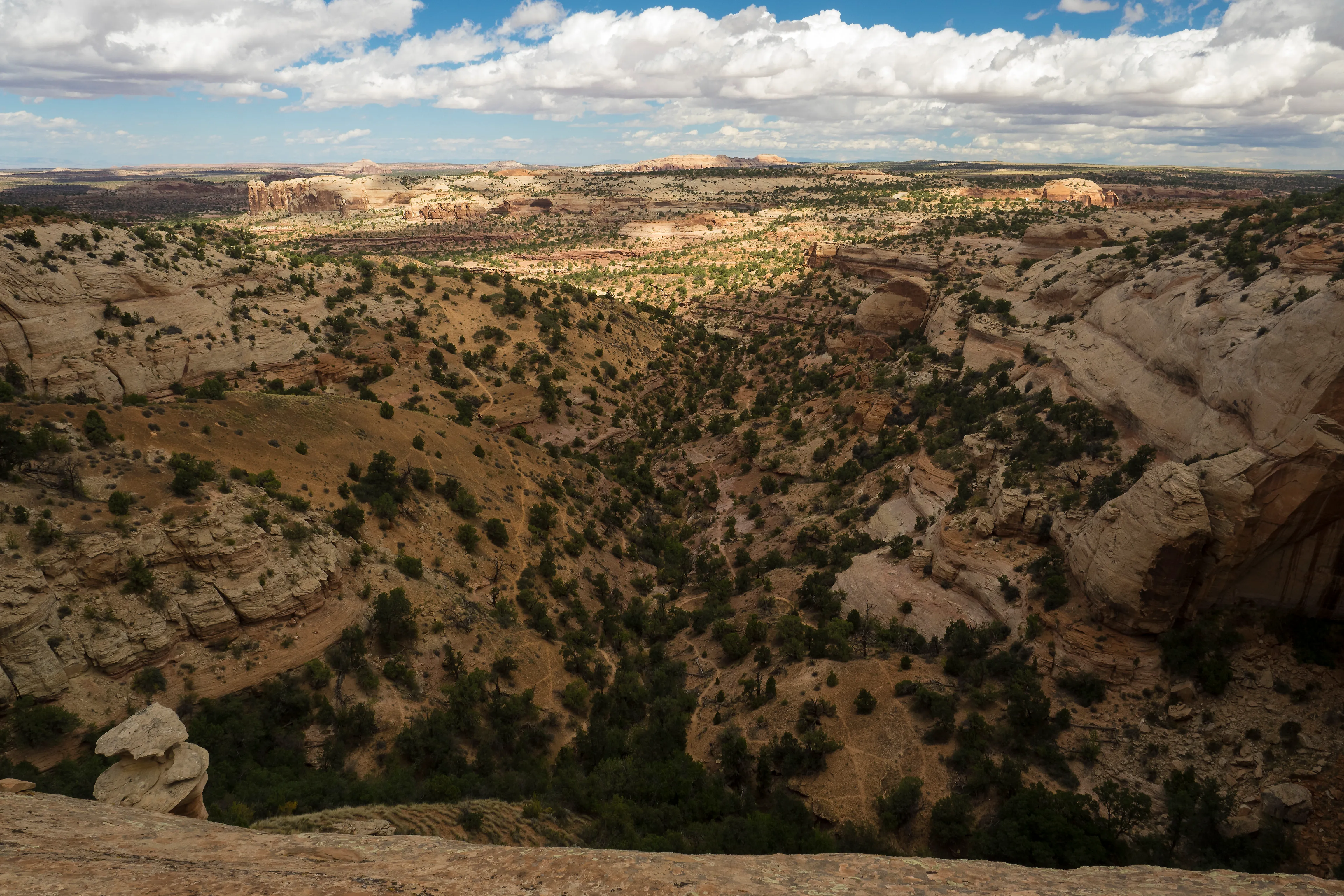 Hike the Neck Spring Trail