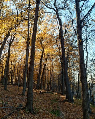 Explore Frontenac State Park in the Fall