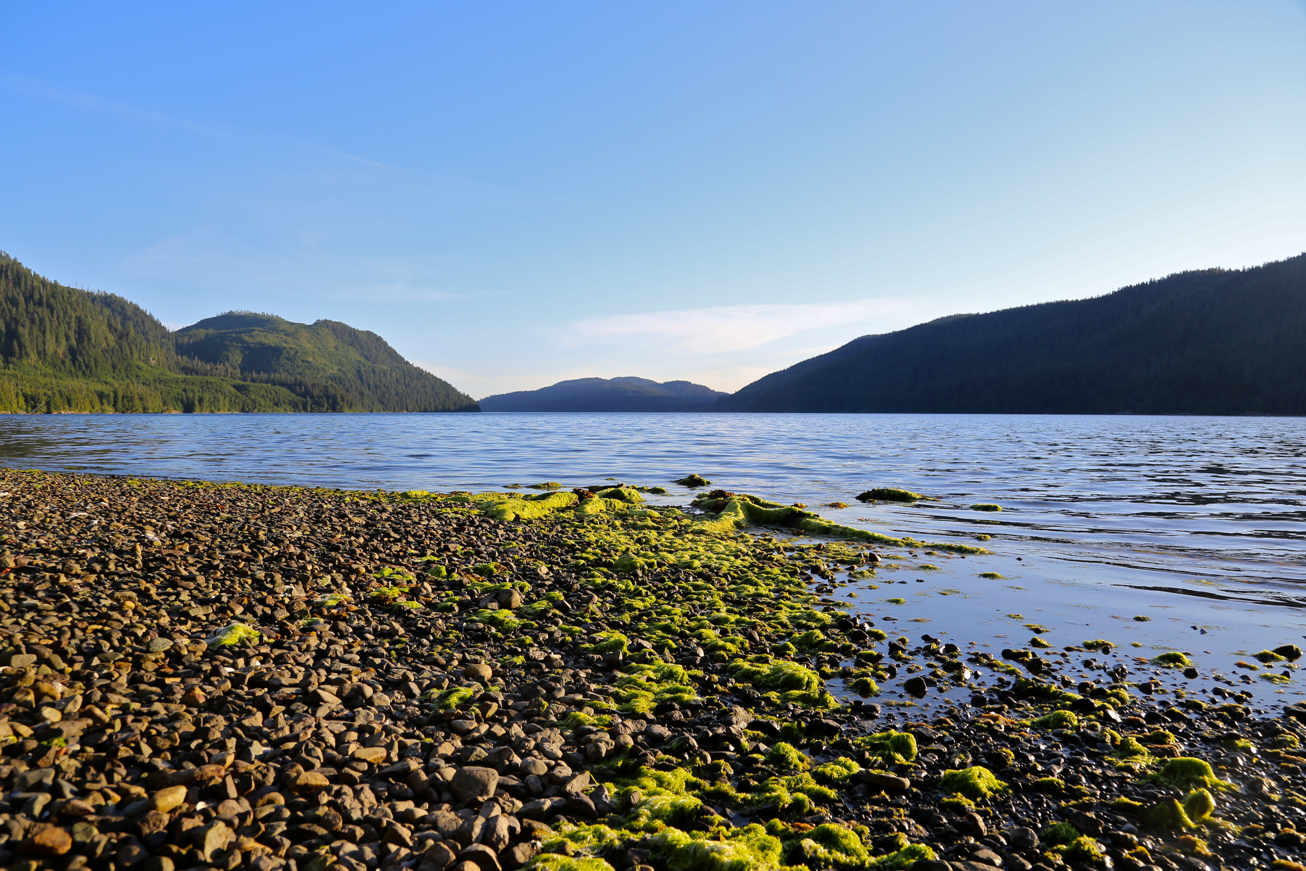 Camp at Nitinat Lake