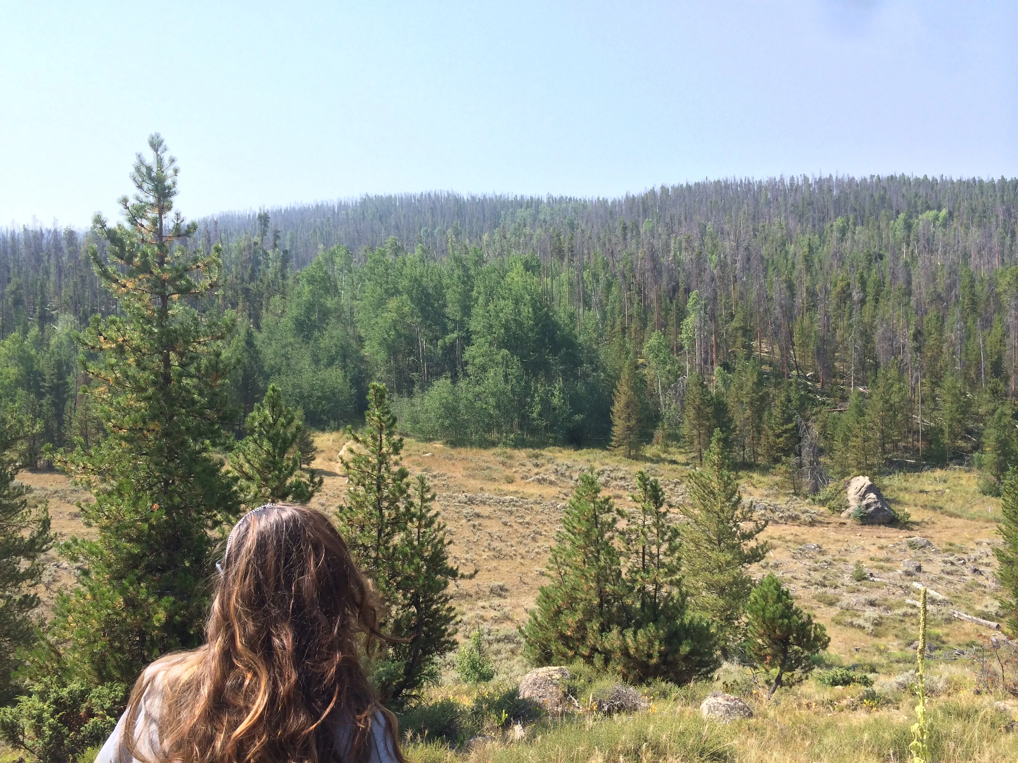 Monarch Lake Loop