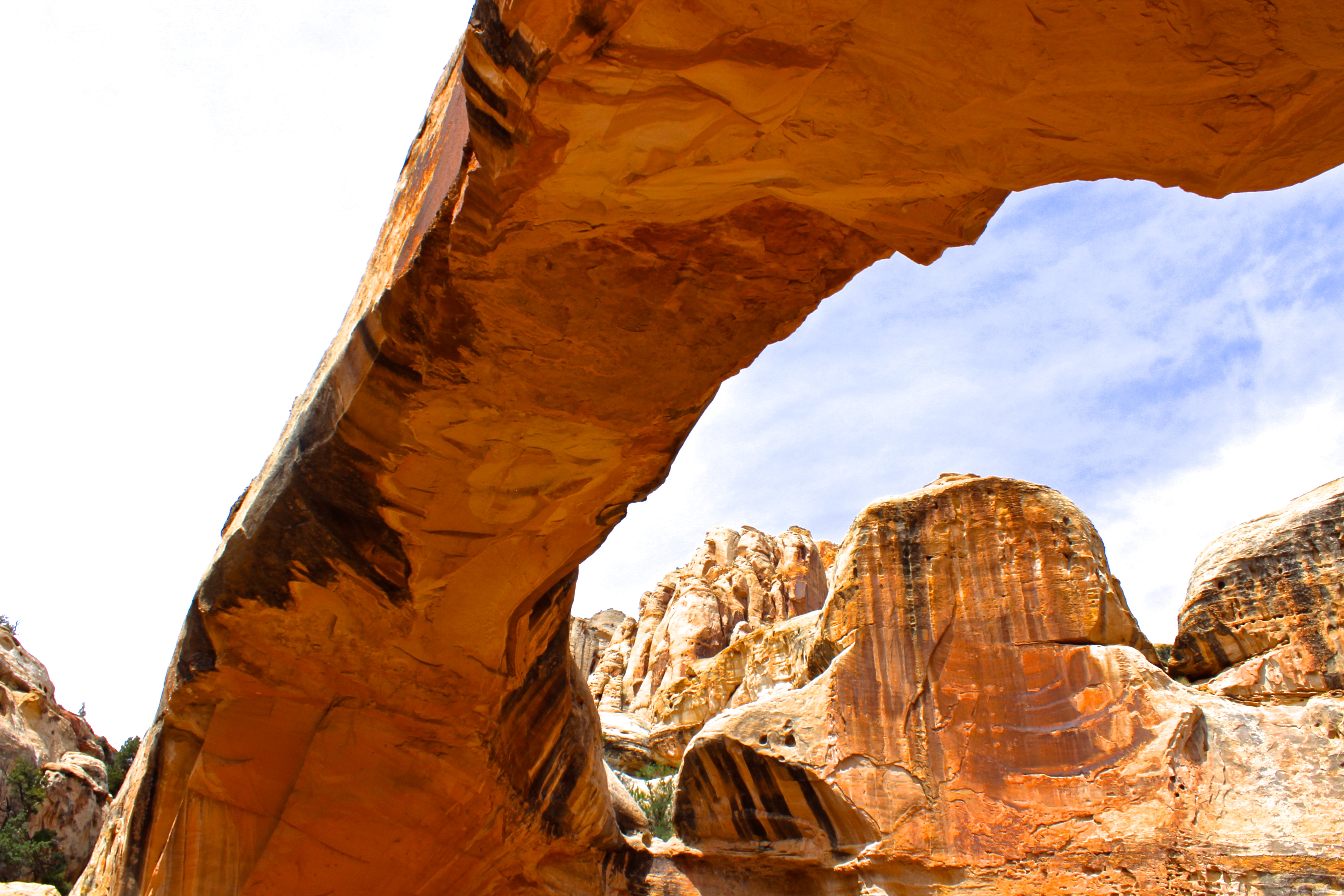 Hickman Natural Bridge Trail