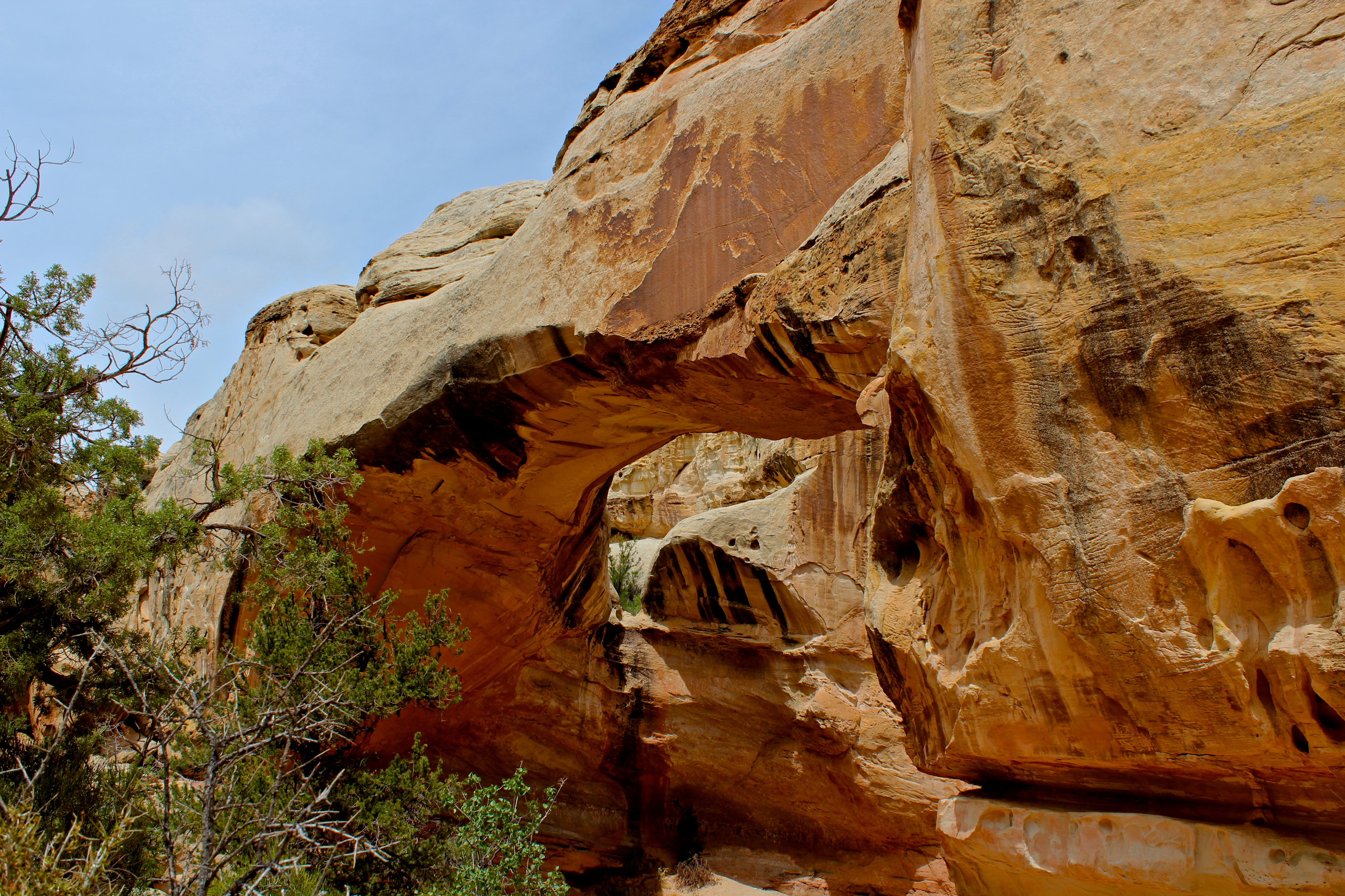 Hickman Natural Bridge Trail