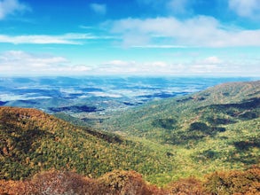 Lower Hawksbill to Salamander to Appalachian Trail Loop