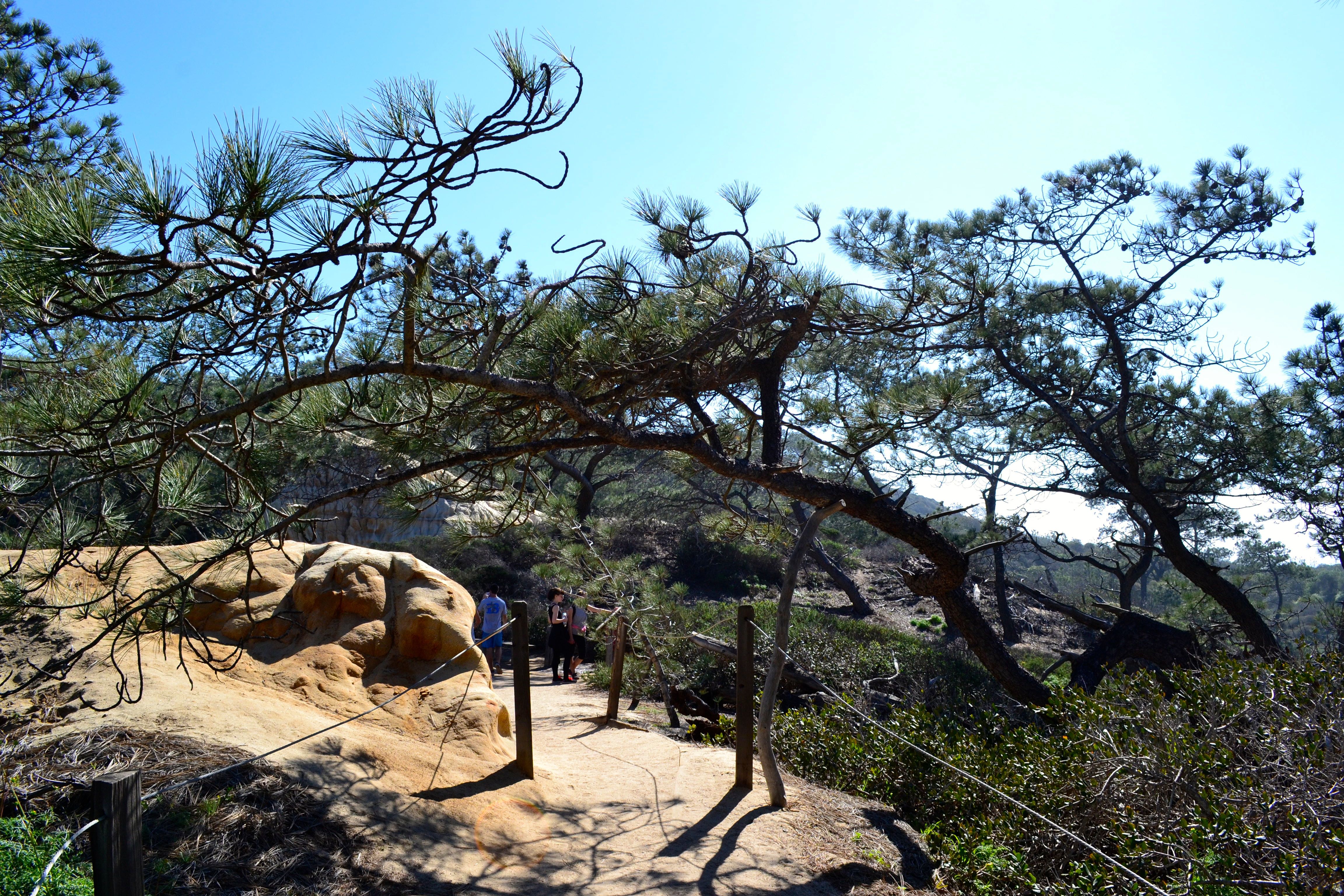 Guy Fleming Trail