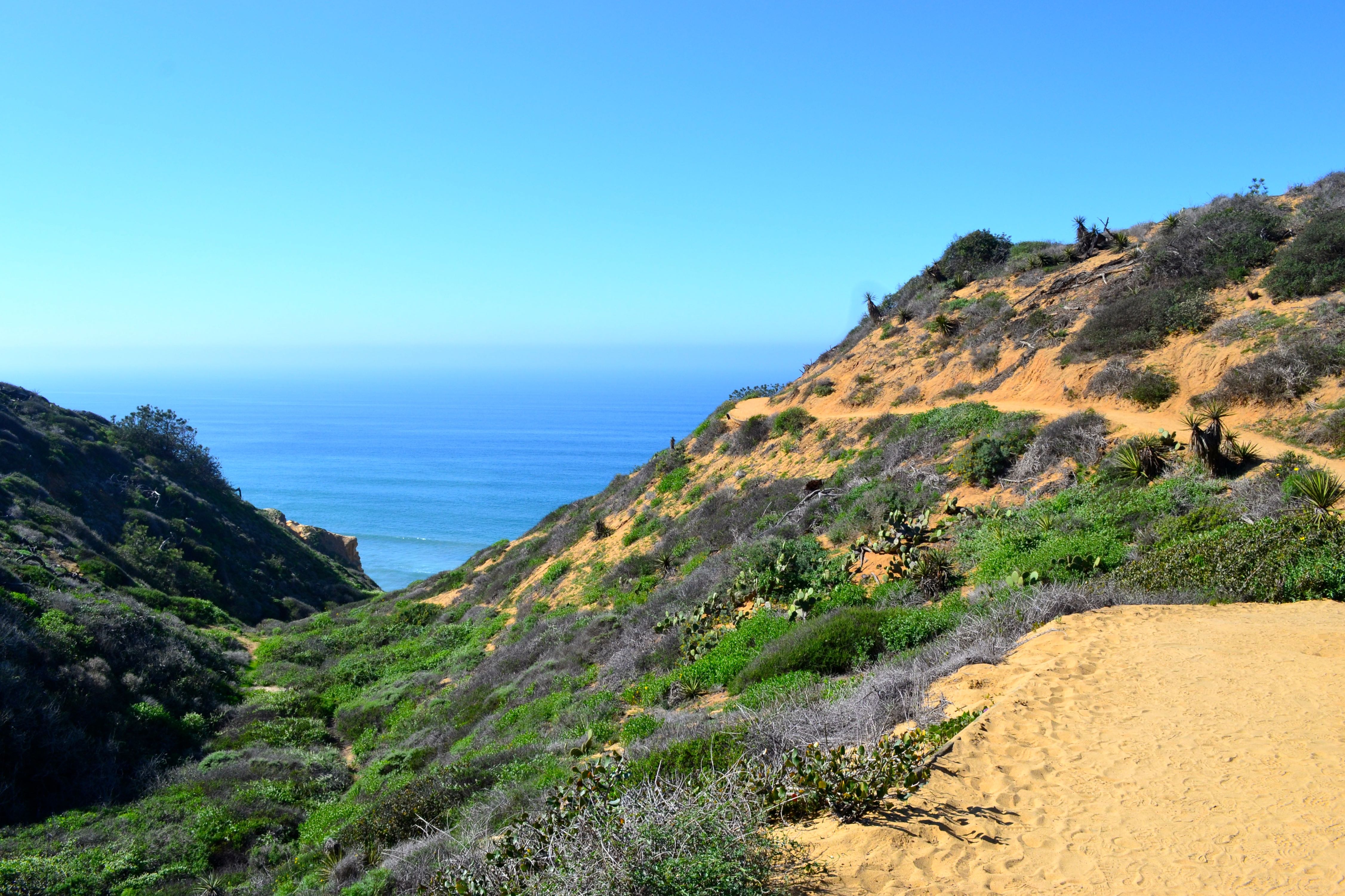 Guy Fleming Trail