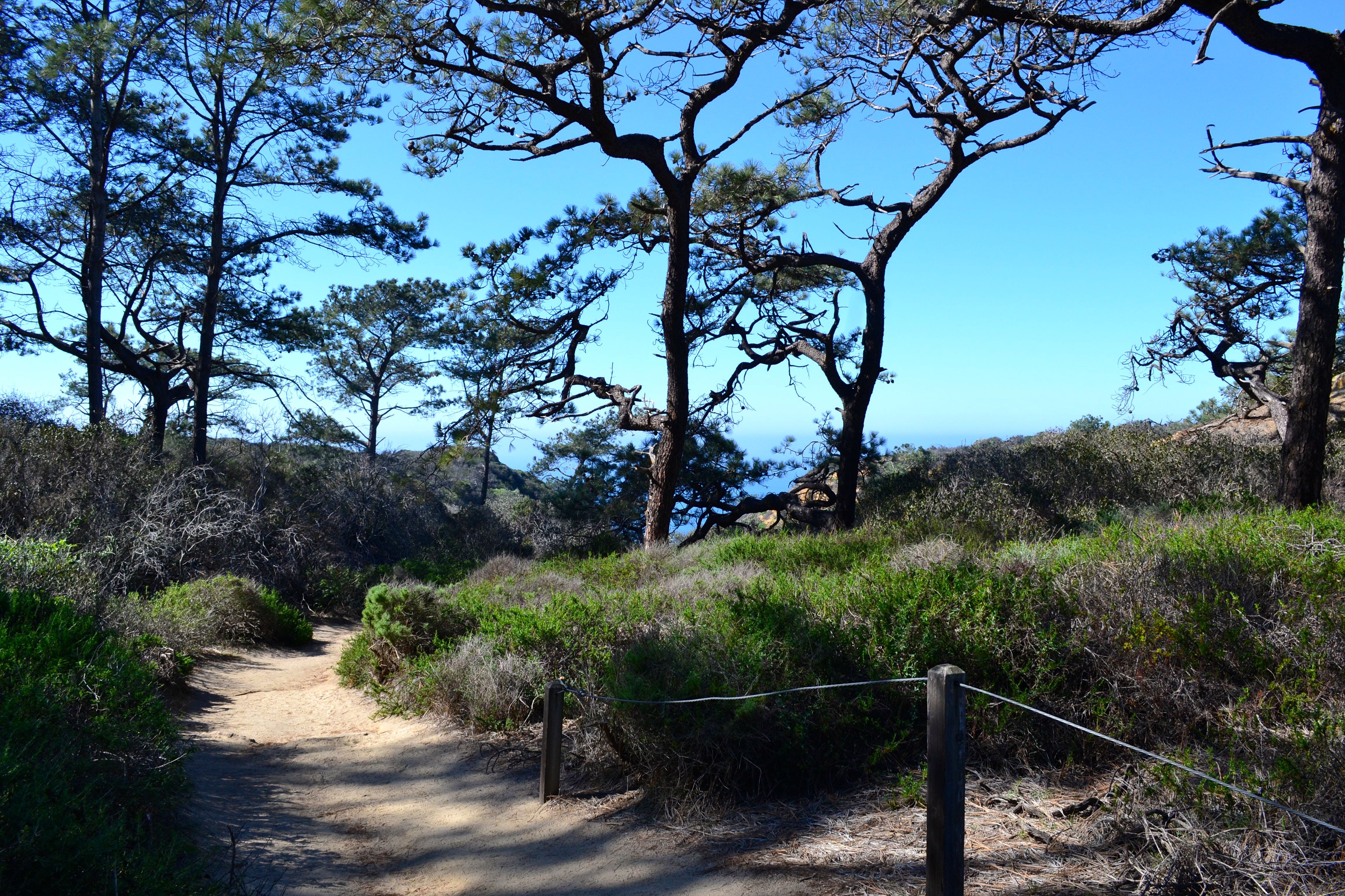 Guy Fleming Trail