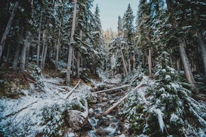 Hike to Rainbow Lake