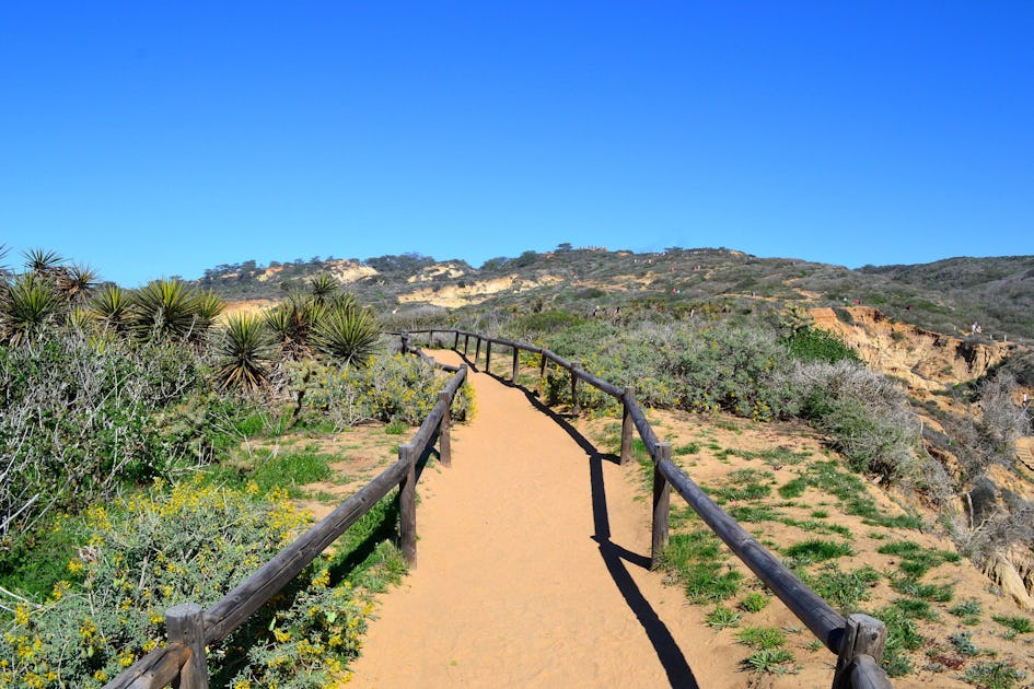 Hike Razor Point Beach Trail Broken Hill Trail Loop San Diego California