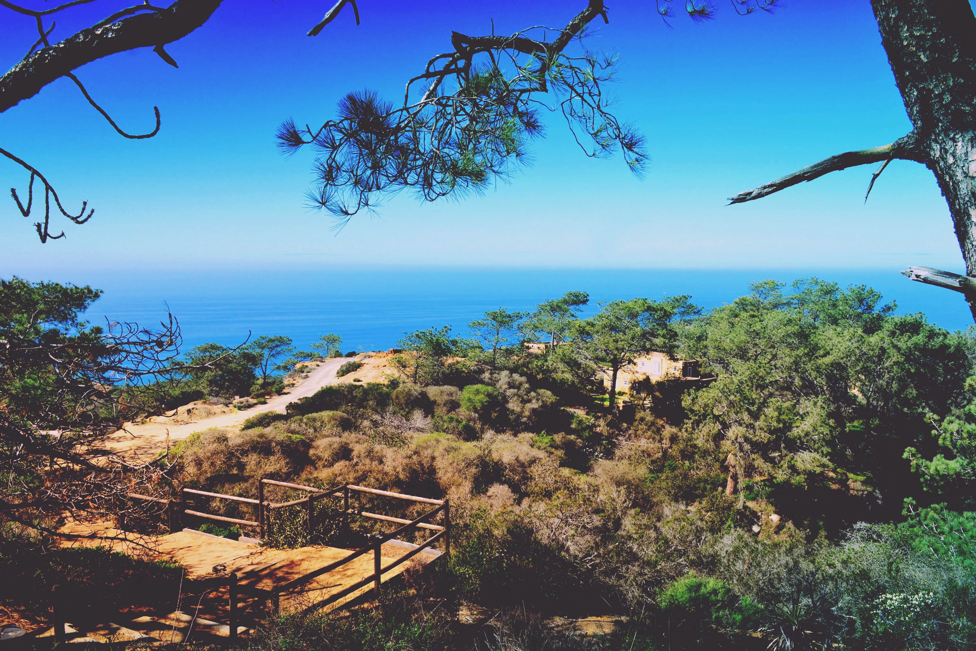 Razor Point, Beach Trail, & Broken Hill Trail Loop