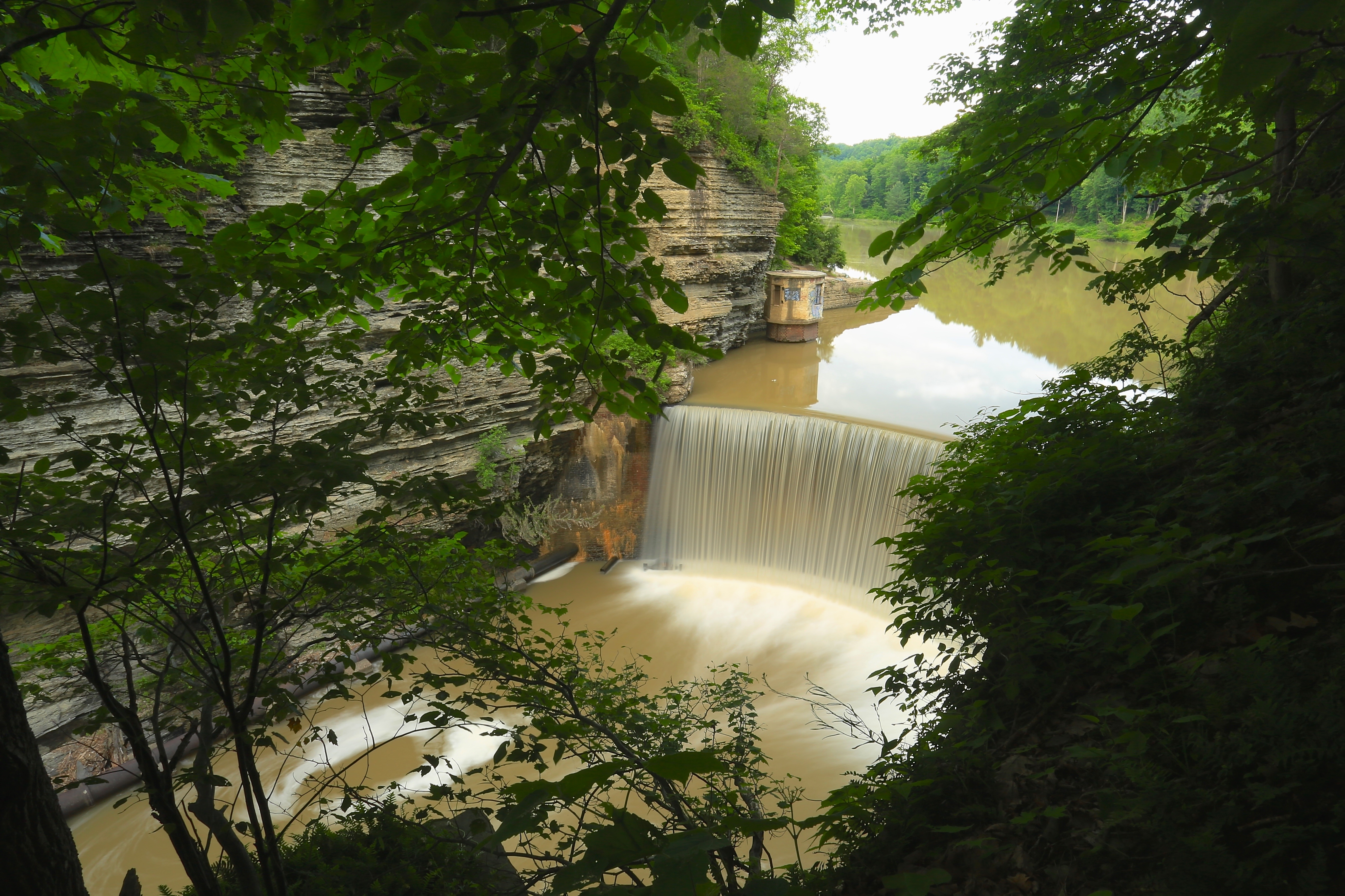 Hike the Six Mile Creek Natural Area