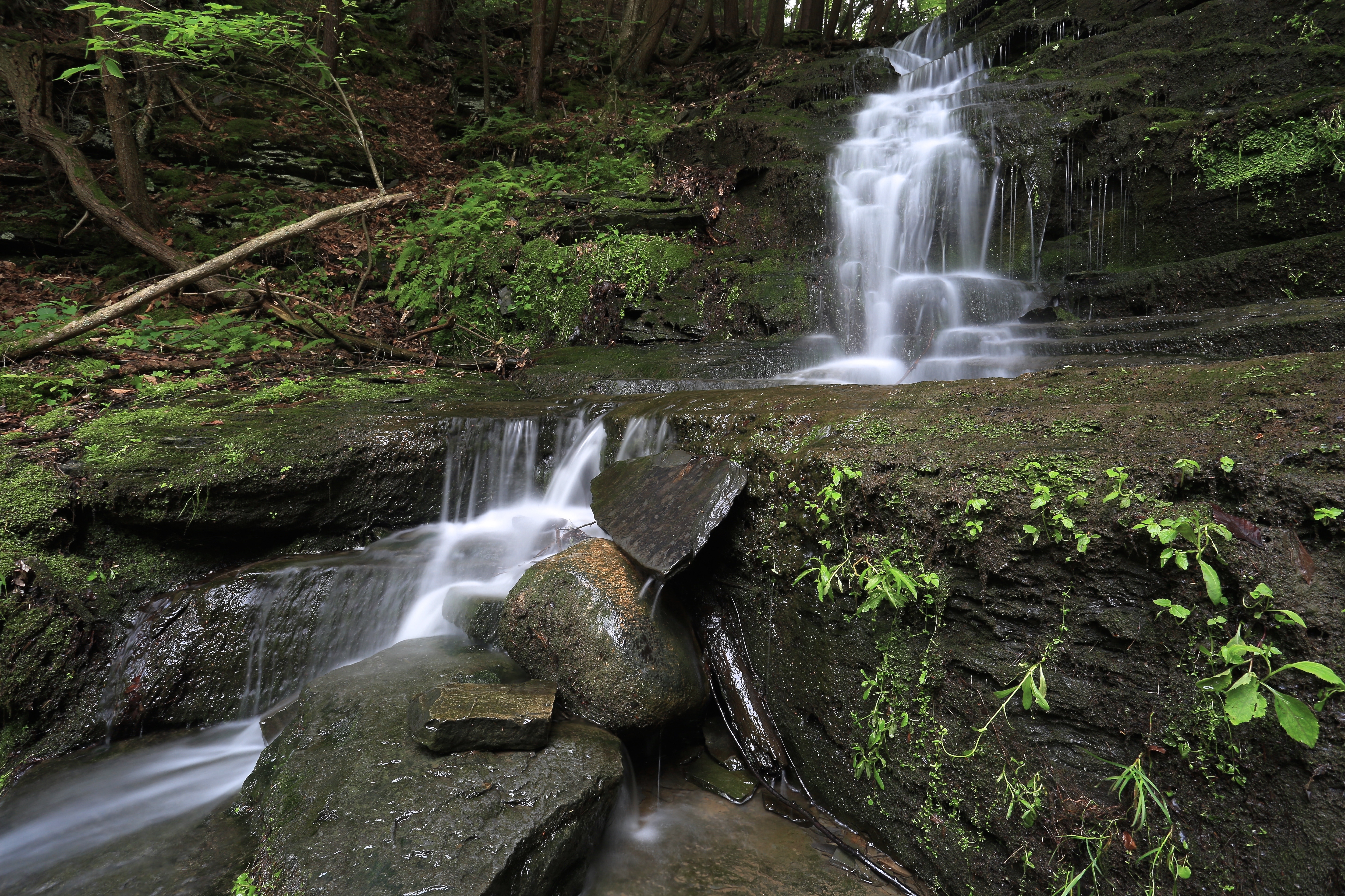 Hike the Six Mile Creek Natural Area