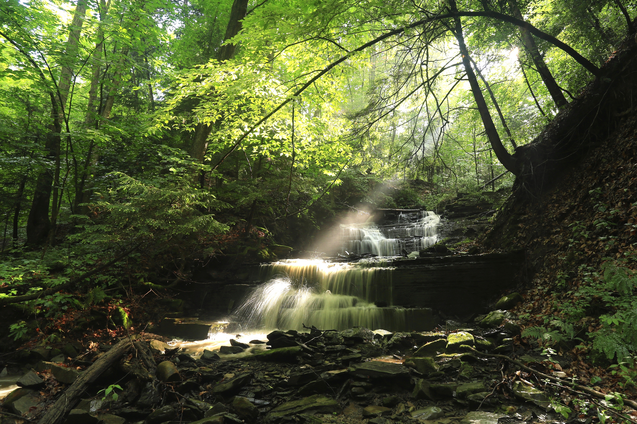 Hike the Six Mile Creek Natural Area