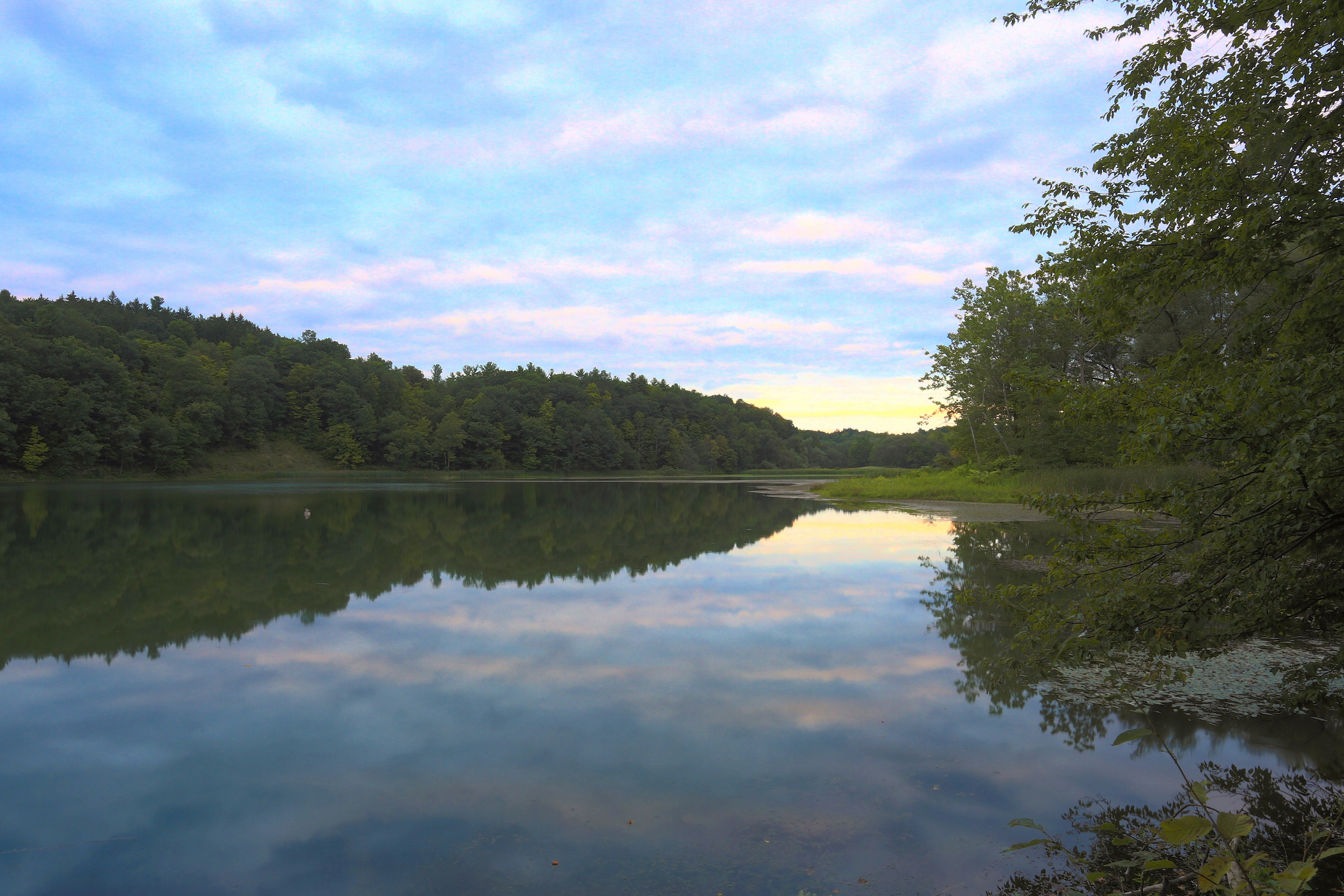 Hike the Six Mile Creek Natural Area