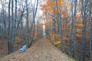 Hike the Six Mile Creek Natural Area