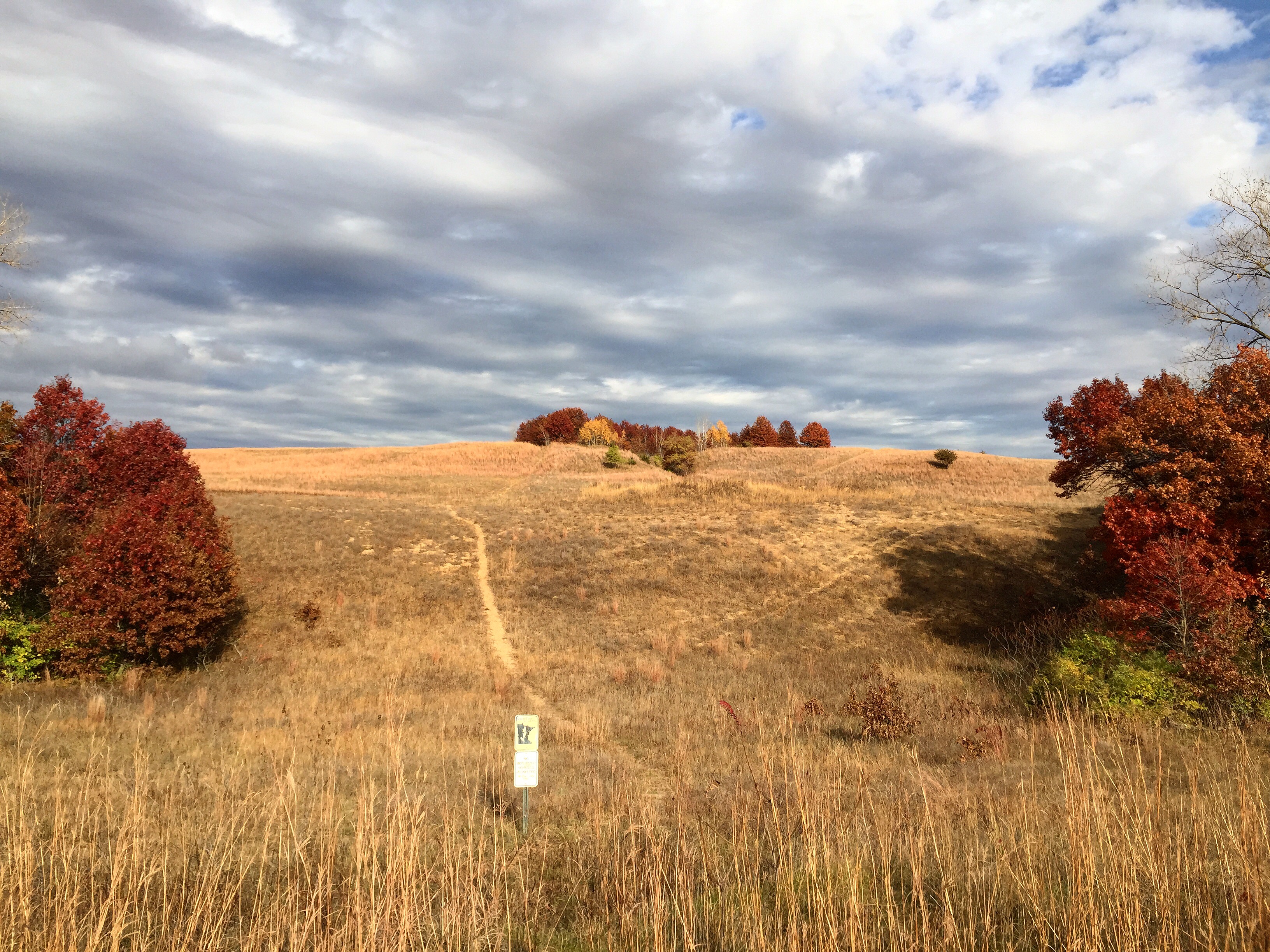 The best Camping in and near Pine Island, Minnesota