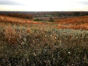 Hike the Grey Cloud Dunes Scientific and Natural Area Loop