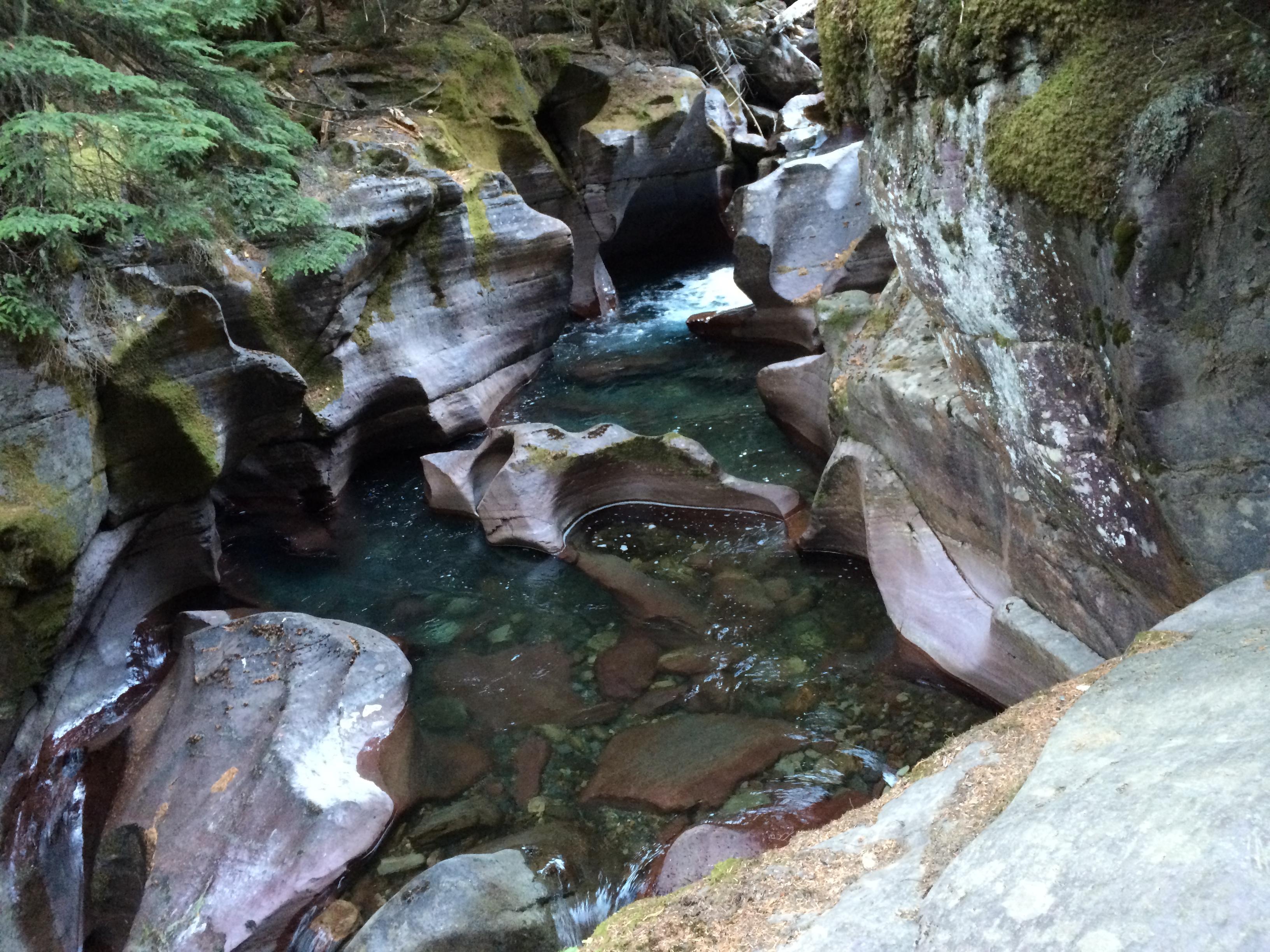 Hike to Avalanche Lake, Glacier National Park 