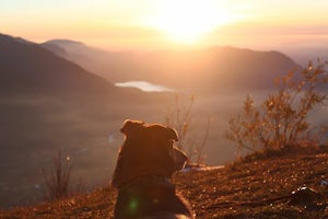 Hike to Elk Mountain 