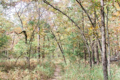 Hike the Rough Canyon Trail past the Cattail Pond Junction