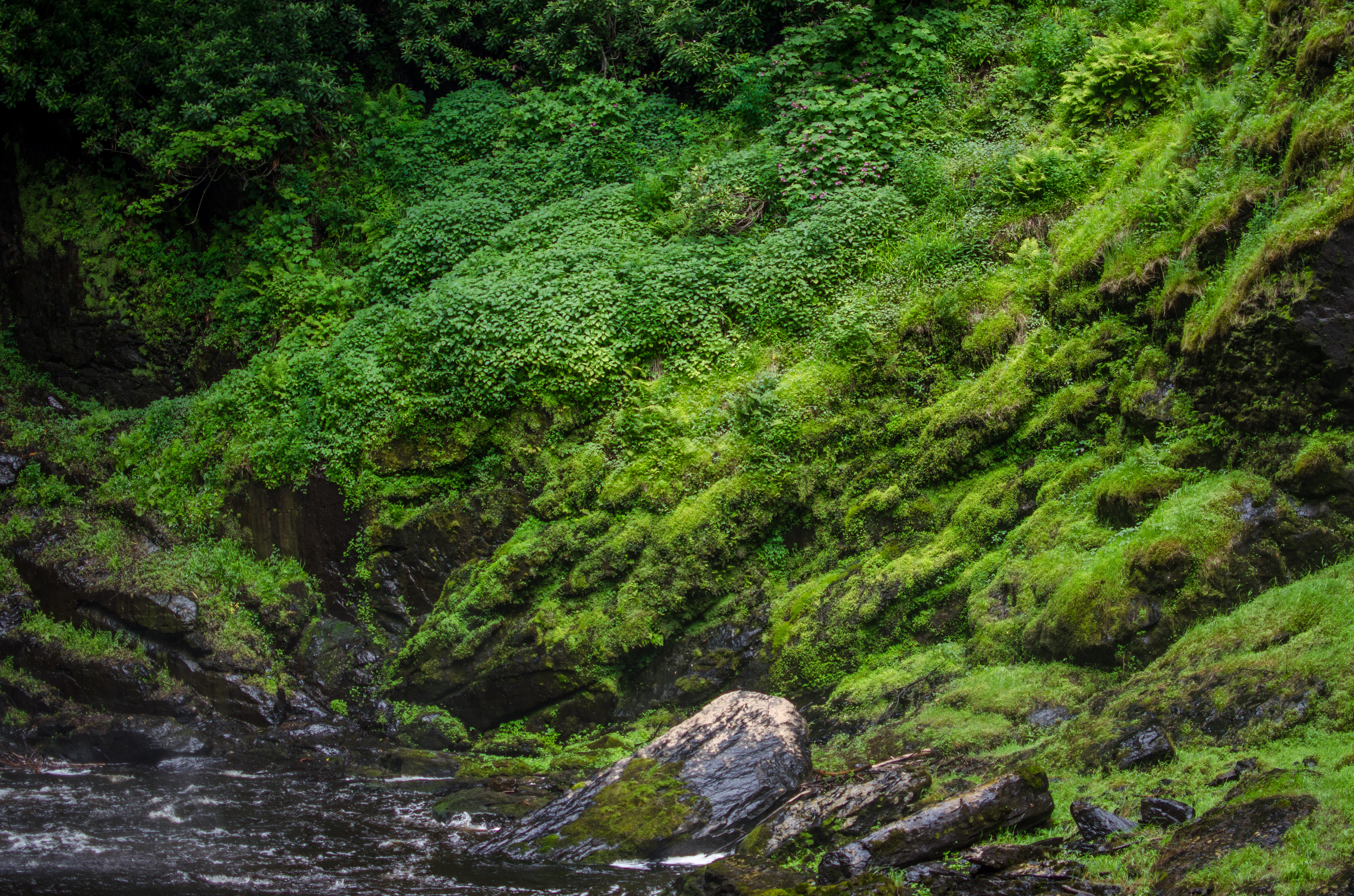 Bushkill Falls Loop