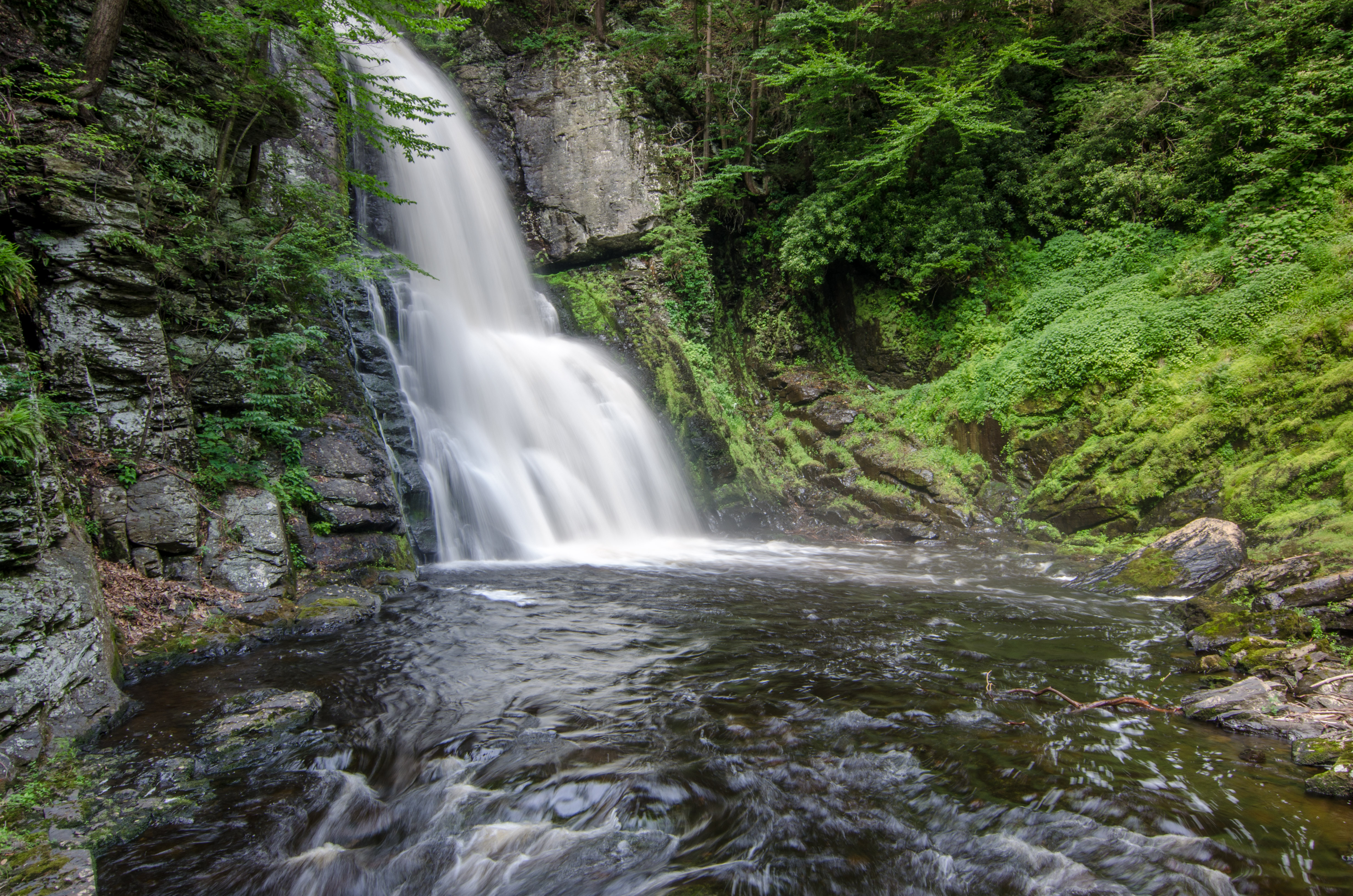 Bushkill Falls Loop