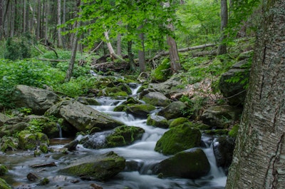 Hike to Bushkill Falls, Bushkill Falls Parking Area