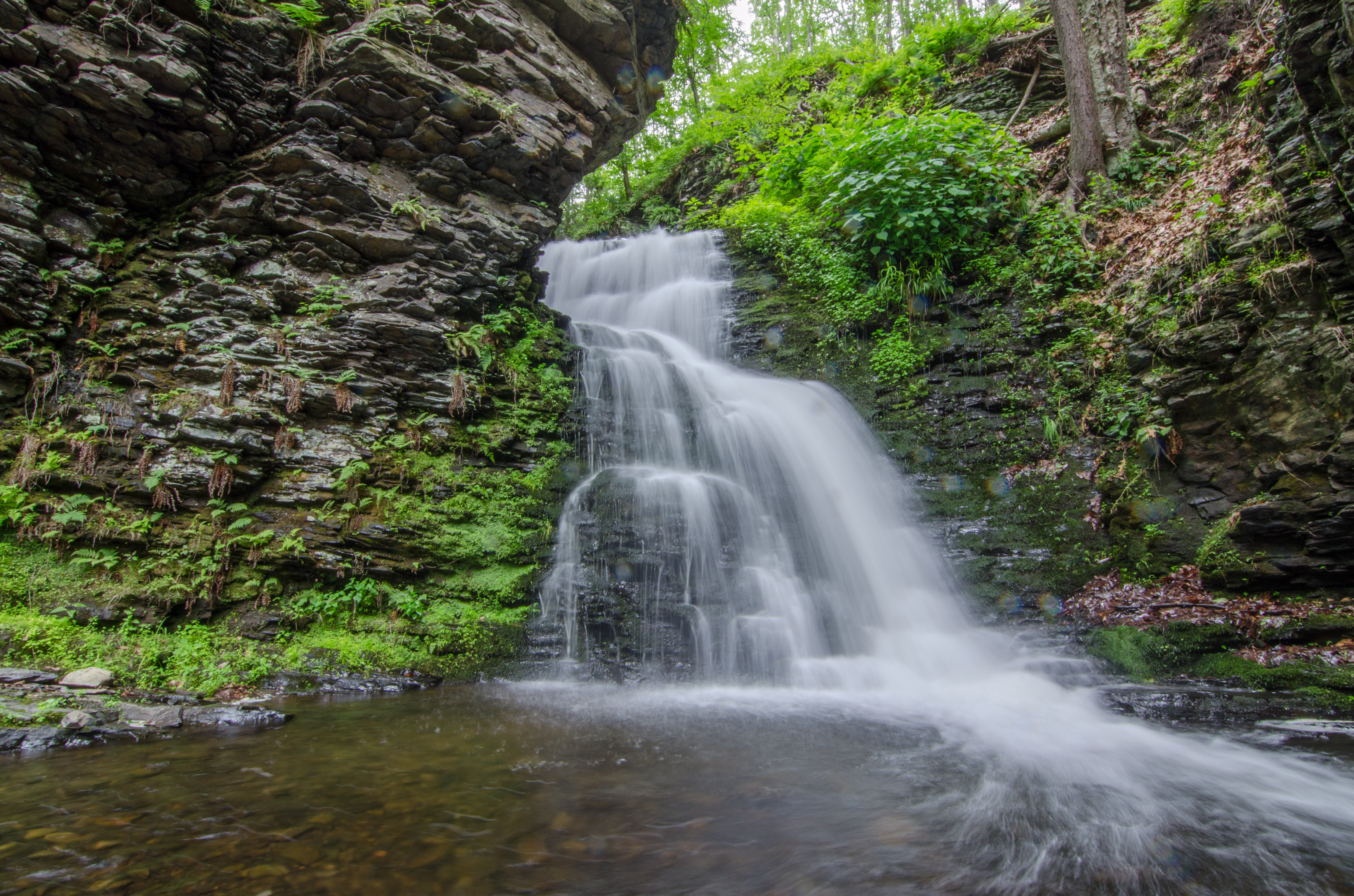Bushkill Falls Loop