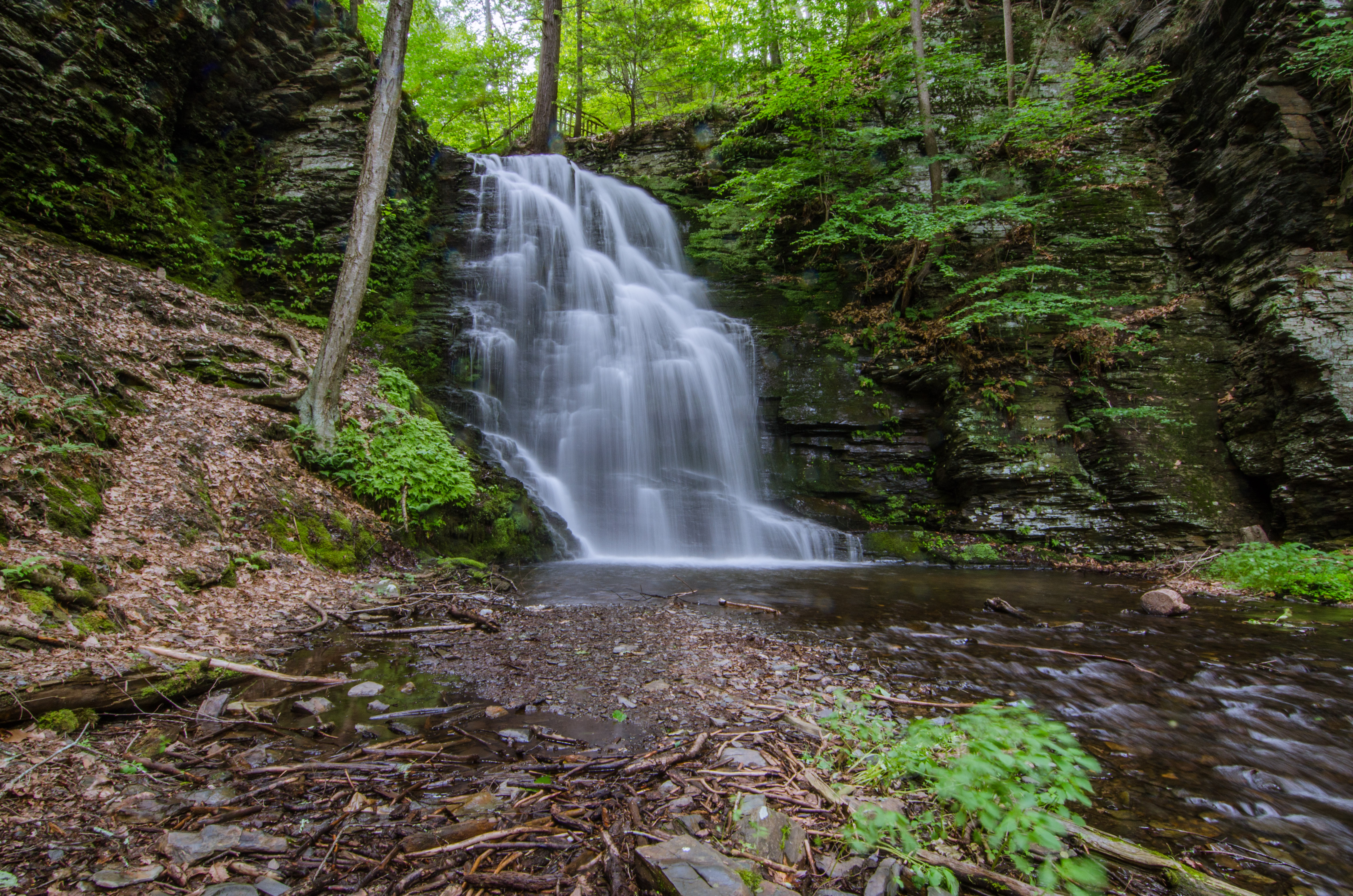 Bushkill Falls Loop