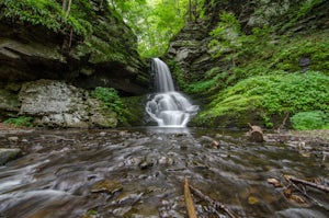 Hike to Bushkill Falls