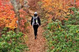 Hike The Millbrook Mountain Ridge Trail