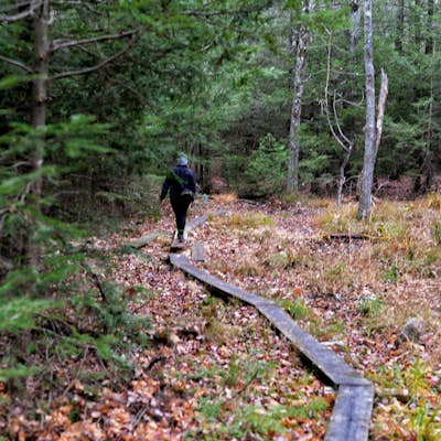 Hike The Millbrook Mountain Ridge Trail