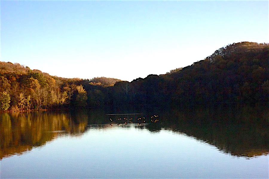 Hike around Radnor Lake