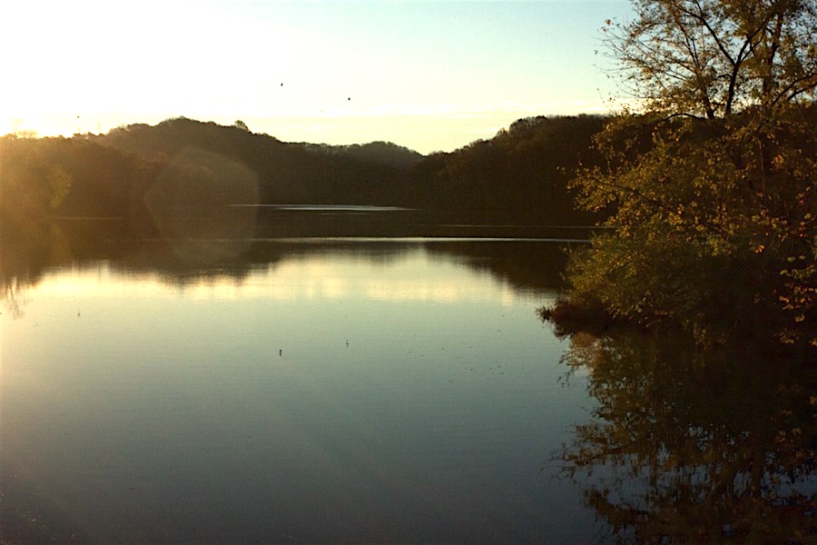 Hike around Radnor Lake