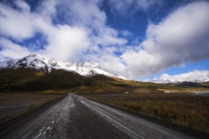 Climb the Ridge Behind Toklat Road Camp in Denali