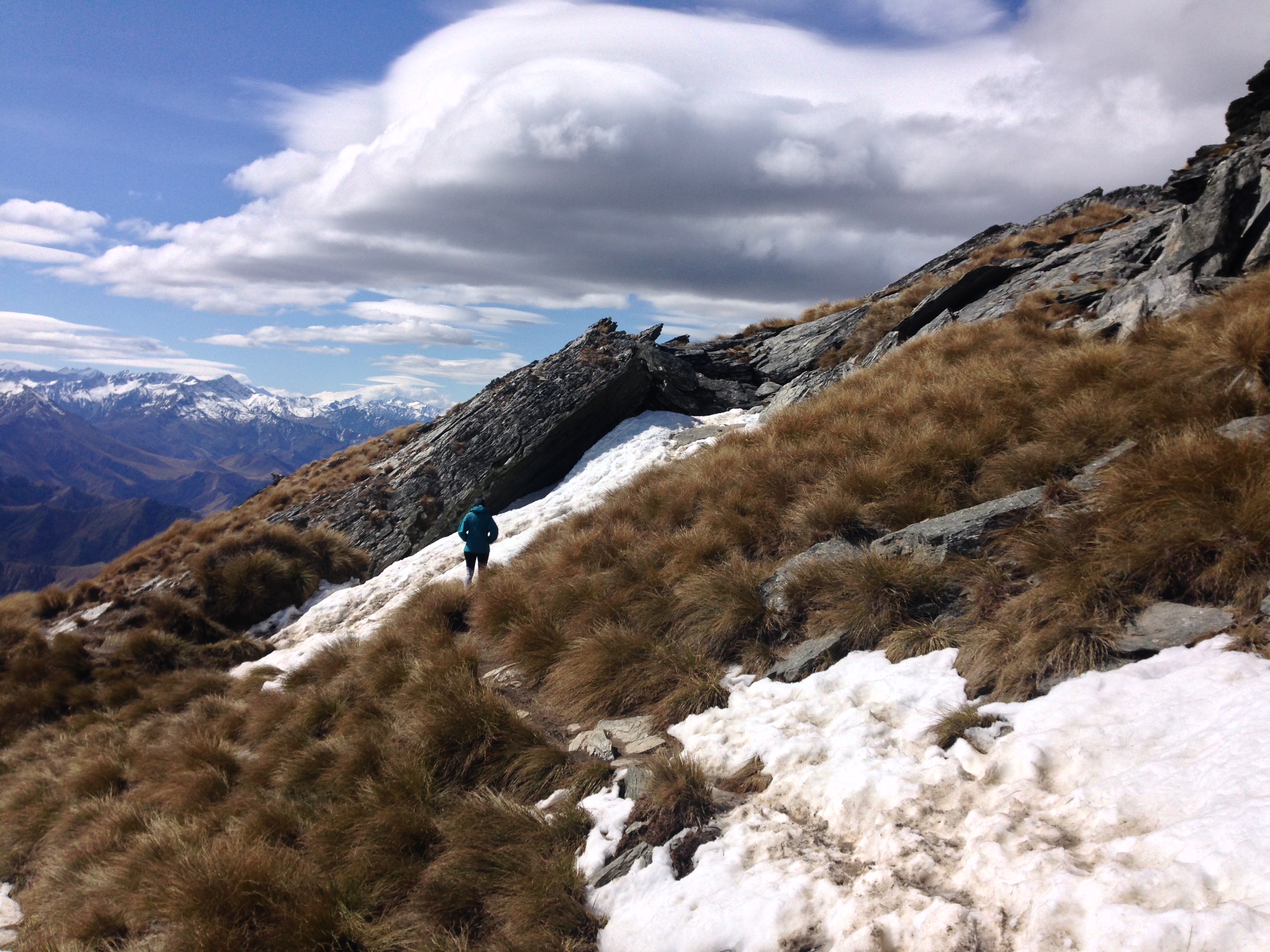 Ben Lomond Track via Old Skyline Road