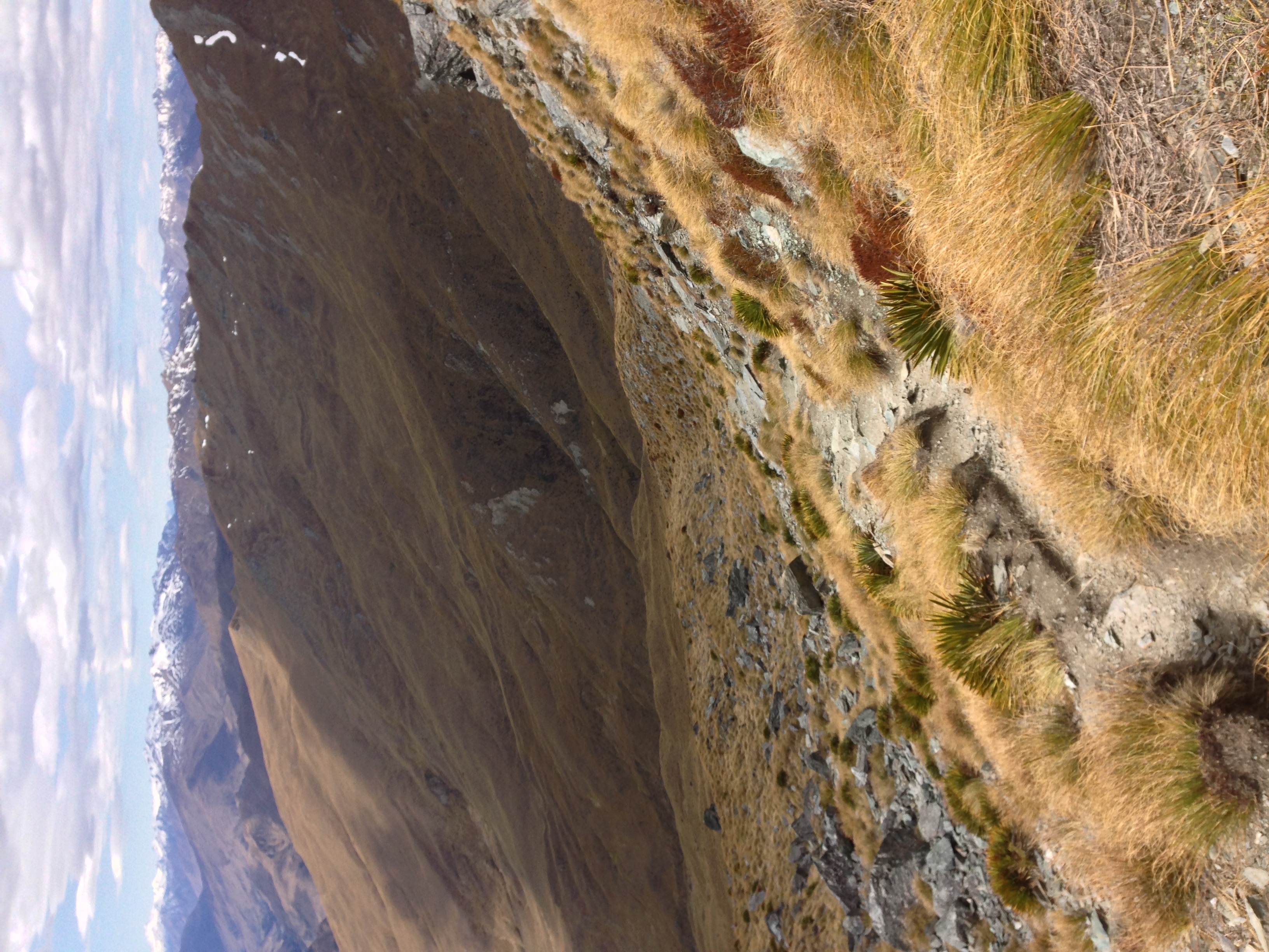 Ben Lomond Track via Old Skyline Road