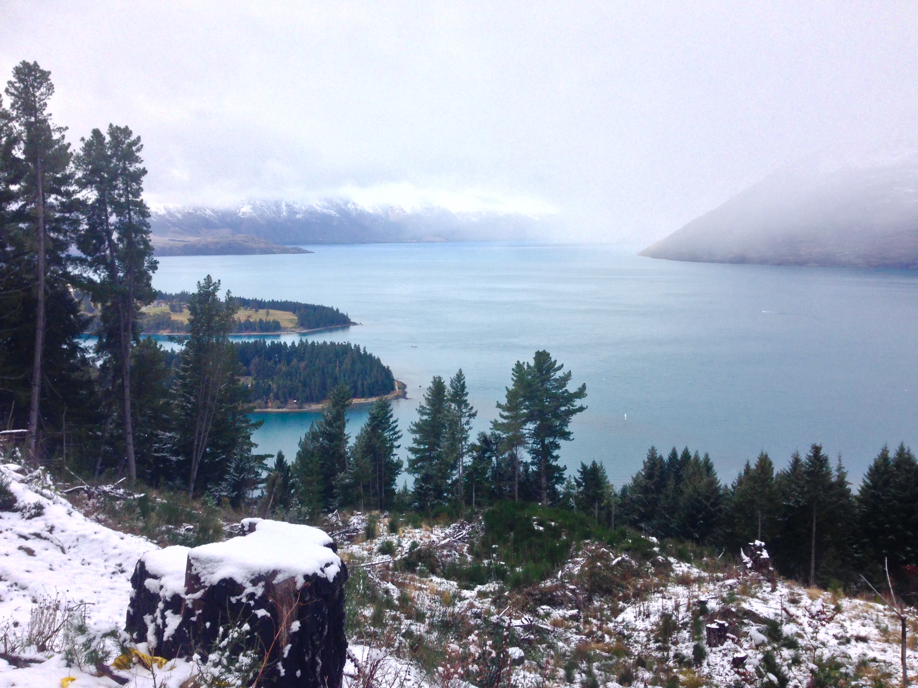 Ben Lomond Track via Old Skyline Road