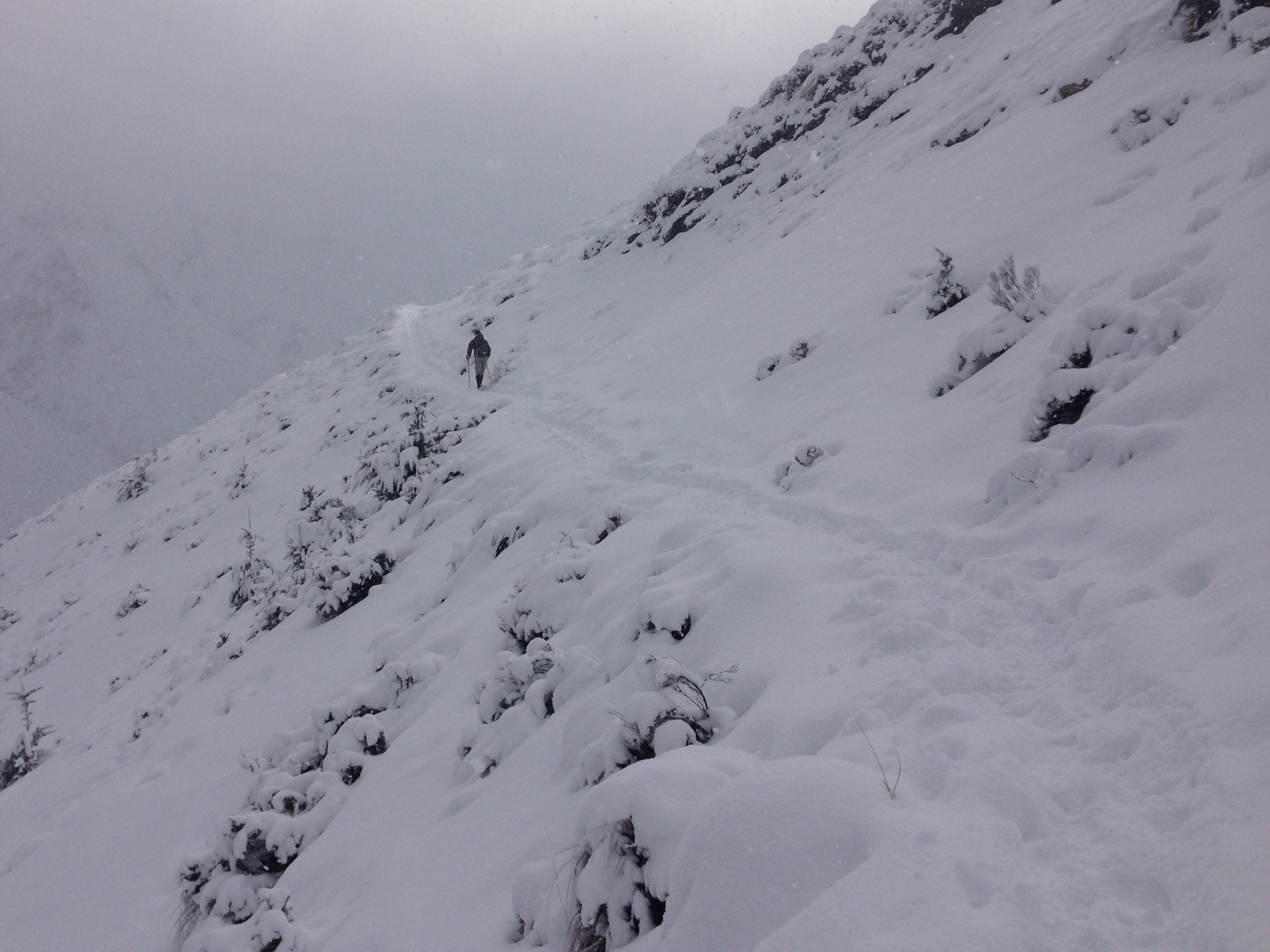 Ben Lomond Track via Old Skyline Road