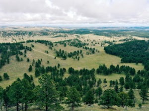Hike the Lookout Point Loop at Wind Cave National Park 