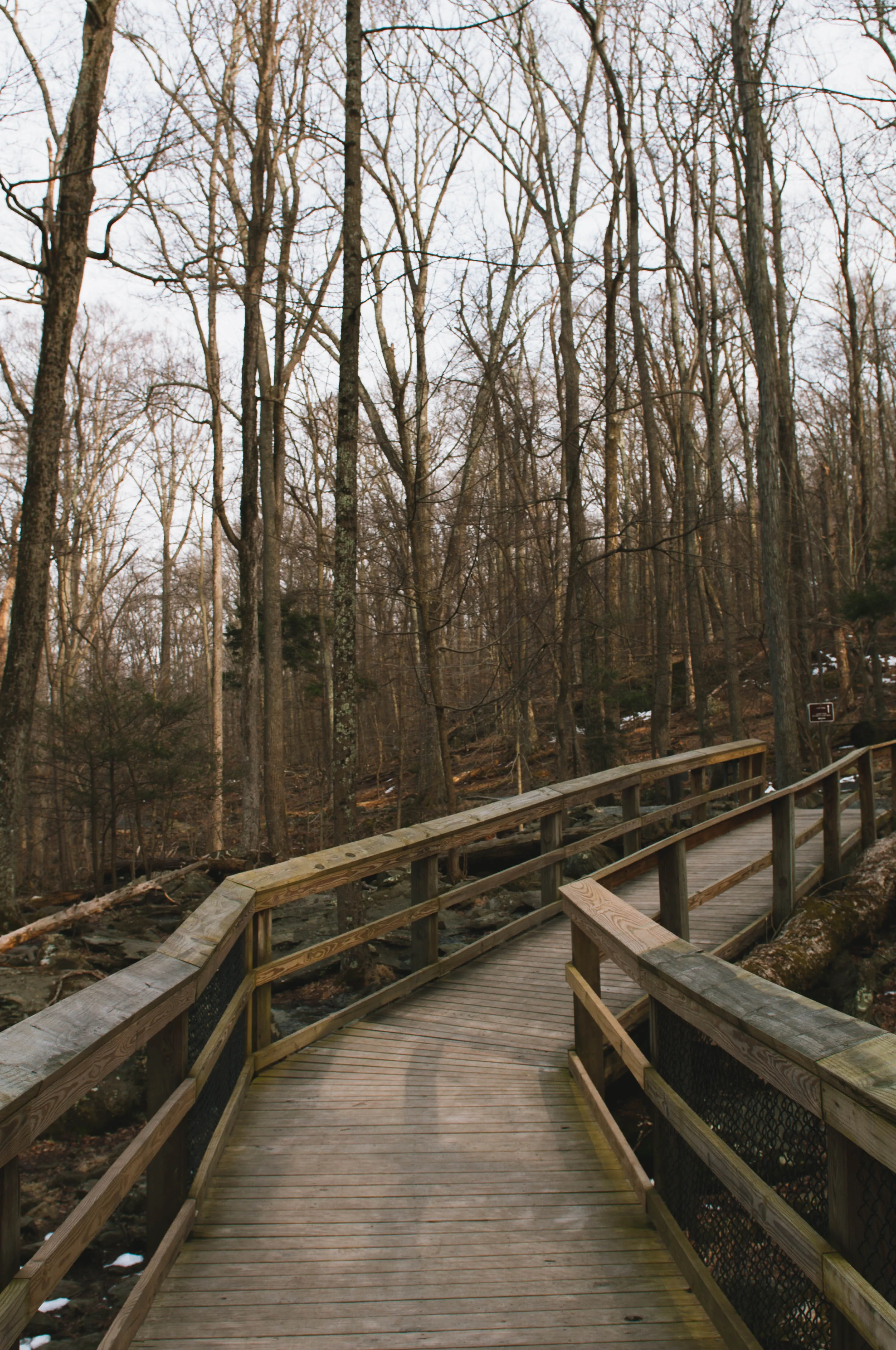 Cunningham Falls via Lower Trail