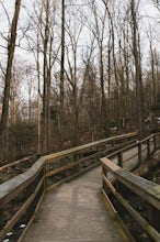 Hike to Cunningham Falls